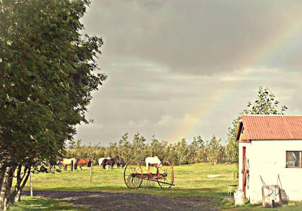 Rauthuskrithur Farm Holmabaeir Εξωτερικό φωτογραφία